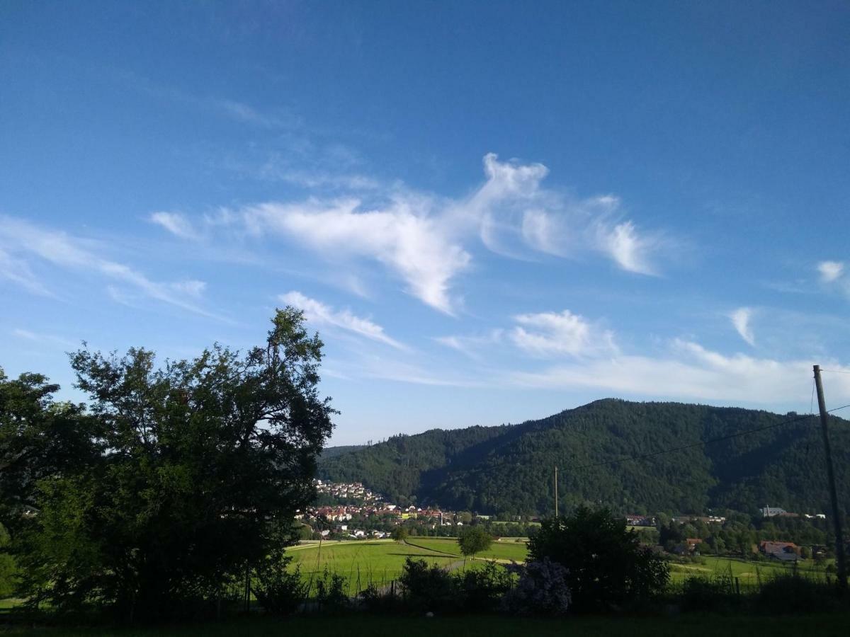 Ferienwohnung Am Eichbuehl Waldkirch Luaran gambar