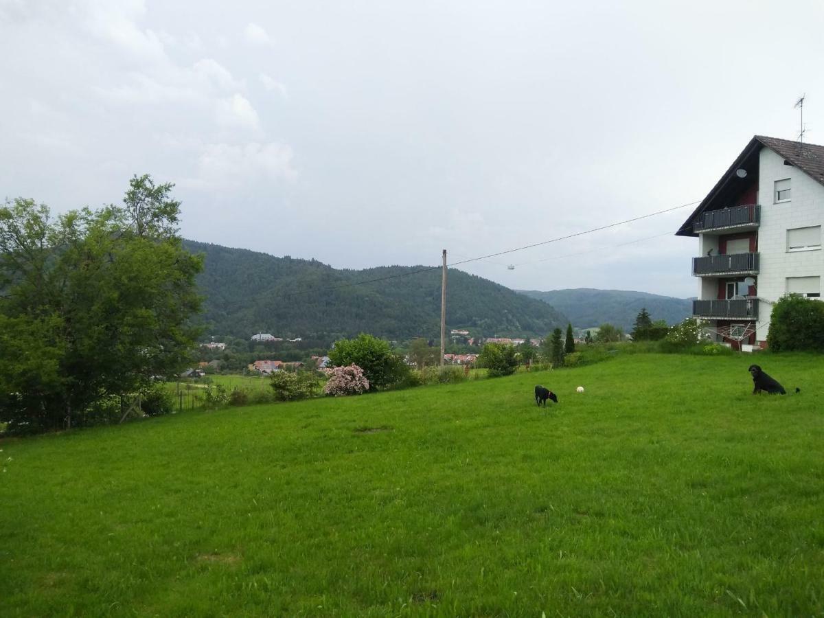 Ferienwohnung Am Eichbuehl Waldkirch Luaran gambar